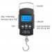 Digital Hanging Weight Scale Code:PB-7856